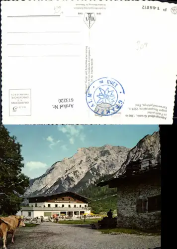 613220,Pertisau Grameialm Alpengasthof Gramai i. Falzthurntal geg. Rappenspitze Rinder Kühe