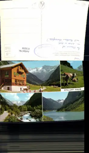 613259,Mehrbild Ak Mayrhofen Zillertal Alpengasthaus Stillupphaus Rinder Kühe
