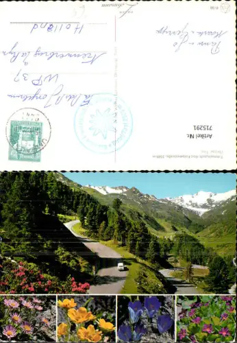 715291 Mehrbild AK Timmelsjoch Hochalpenstraße Oetztal Umhausen Alpenflora Enzian