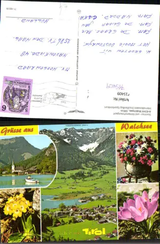 715409 Mehrbild AK Walchsee Tirol Alpenflora Motorboot