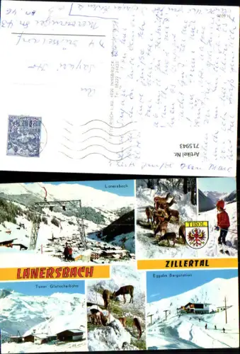 715943 Lanersbach Zillertal Wintersport Wildfütterung