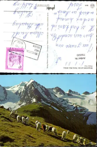 716320 Bergschafe auf der Hohen Mut Ötztal Stempel Zwieselstein Post Sölden