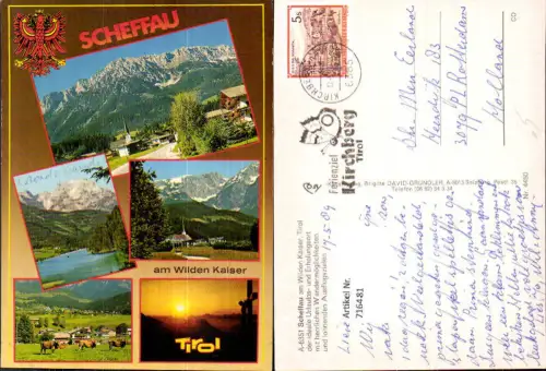 716481 Scheffau am Wilden Kaiser Ortsmotiv Kühe Rinder Gipfelkreuz Stimmungsbild