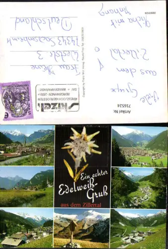 716524 Material AK echtes Edelweiß Zillertal Zell am Ziller Mayrhofen Wegkreuz