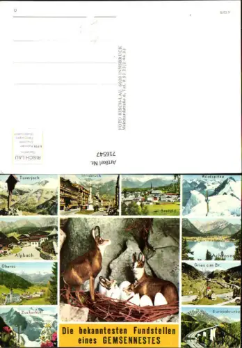 716547 Mehrbild AK Gemsennest Fundstellen Tuxerjoch Seefeld Wildspitze Oberau Achensee Gries am Brenner