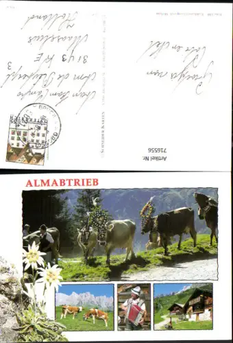 716556 Mehrbild AK Almabtrieb Kühe Rinder Berghütte Edelweiß Bruck am Großglockner