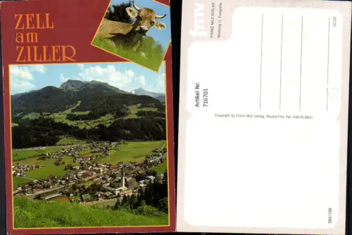 716701 Mehrbild AK Zell am Ziller Totale Rind Kuh
