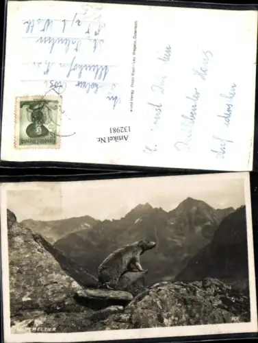 132981,Bei Bludenz Bergansicht m. Murmeltier pub Risch Lau 3230