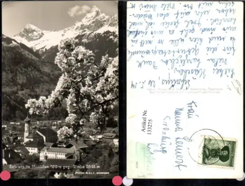 133275,Schruns i. Montafon geg. Zimba Ansicht m. Blütenzweig i. Vordergrund 1957 pub Foto Wolf