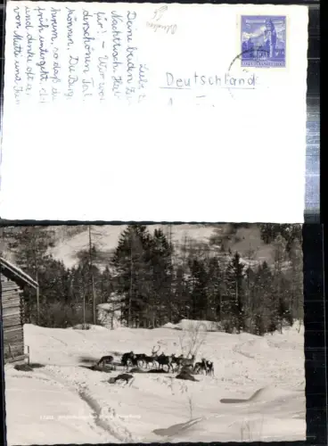 307853,Wildfütterung bei Brand Bludenz Wild Hirsch Rehe Winterbild