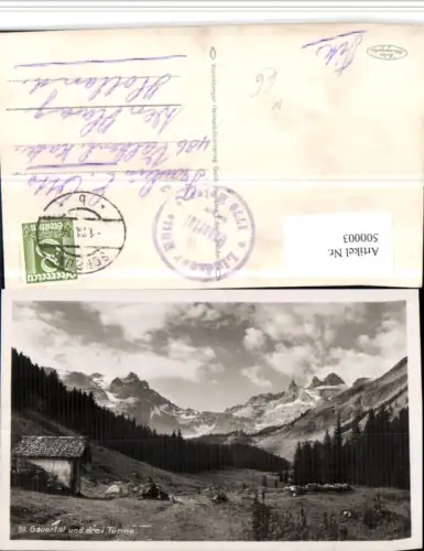 500003,Guertal b. Tschagguns m. Drei Türme Bergkulisse