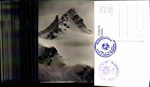 584481,Foto Ak Gr. Litzner m. Gr. Seehorn Seegletscher Abfahrt Partenen Gaschurn pub Risch-Lau 1040