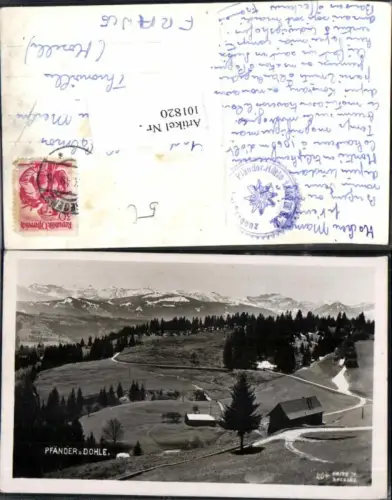 101820,Pfänder Dohle Bregenz am Bodensee