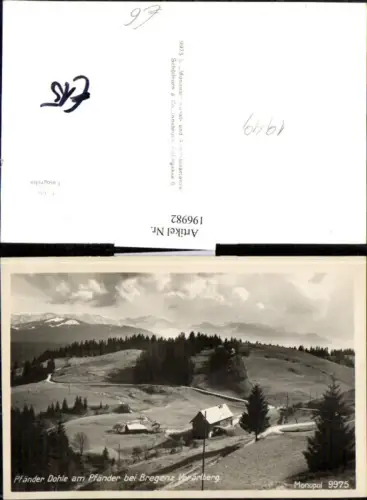 196982,Pfänder Dohle am Pfänder b. Bregenz