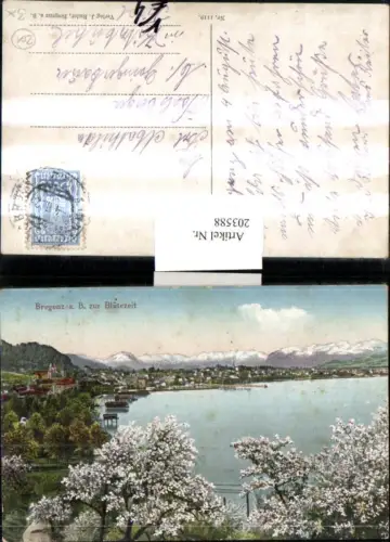 Bregenz a. Bodensee Totale zur Blütezeit pub J. Bader 1119