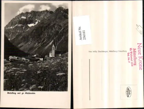 236161,Mittelberg Totale m. Großem Widderstein