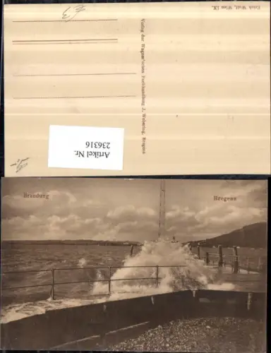 236316,Bregenz Brandung Wellen