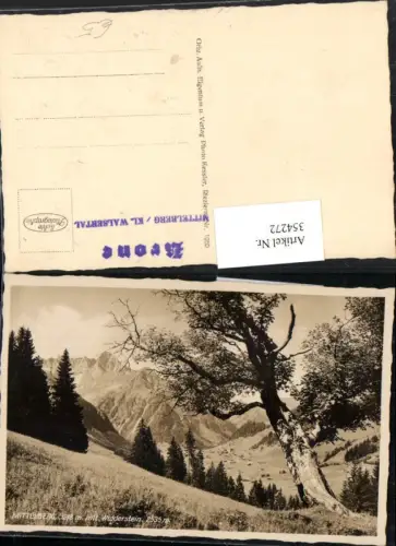354272,Blick auf Mittelberg Totale m. Widderstein Totale