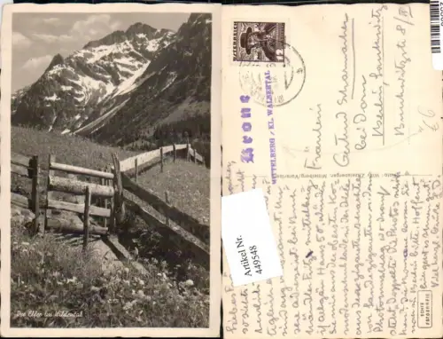 449548,Der Elfer im Wildental b. Mitelberg Bergkulisse