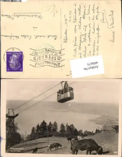449675,Pfänderbahn Seilbahn m. Lindau b. Bregenz Rinder Kühe pub J. Bader 658