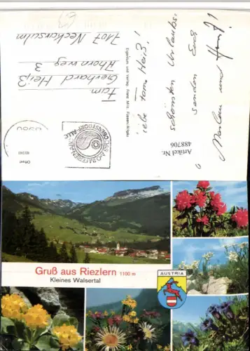 488706,Riezlern Totale Bergkulisse Blumen Edelweiß Mehrbildkarte