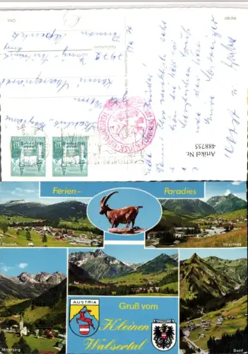 488755,Riezlern Hirschegg Mittelberg Baad Totale Steinbock Mehrbildkarte