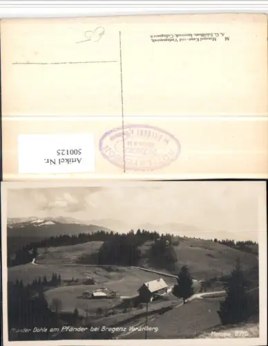 500125,Pfänder Dohle am Pfänder b. Bregenz Bergkulisse