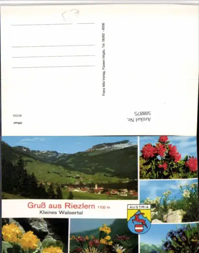 508875,Gruß aus Riezlern Totale Alpenblumen Edelweiß Mehrbildkarte