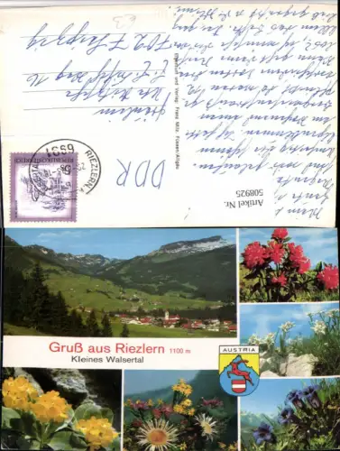 508925,Gruß aus Riezlern Totale Alpenblumen Edelweiß Mehrbildkarte