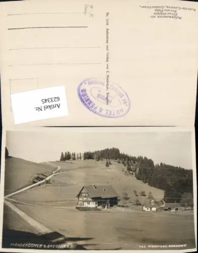 623345,Foto Ak Bregenz a. Bodensee Pfänderdohle pub Risch-Lau 1144