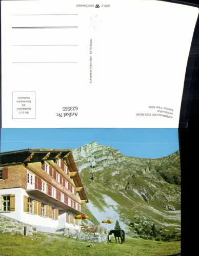 623565,Alpengasthof Edelweiss m. Kanisfluh Au Bregenzerwald Pferd