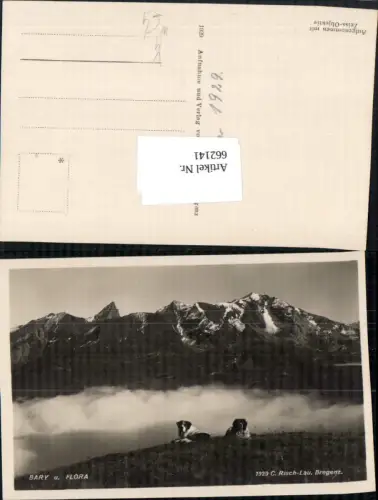 662141,Foto Ak Bary u. Flora Hunde Bergkulisse b. Bregenz pub Risch-Lau 1929