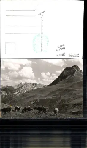 666321,Kleinwalsertal Mittelberg Riezlern Hirschegg Kühe Kanzelwand