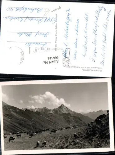666344,Kleinwalsertal Mittelberg Riezlern Hirschegg Hochalppaß Kühe