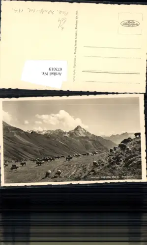 673019,Foto Ak Baad Kleinwalsertal Mittelberg Hochalp Paßhöhe Biberkopf Kühe Rinder