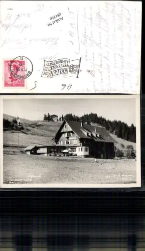 684780 Bregenz am Bodensee Pfänder Dohle