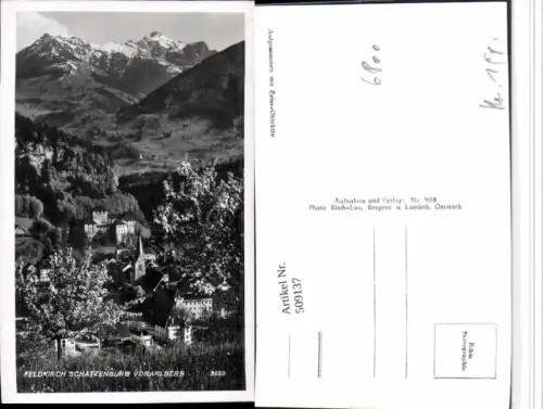 509137,Feldkirch Teilansicht m. Schattenburg Bergkulisse pub Risch-Lau 3689