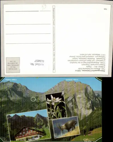 606857,Mehrbild Ak Au Öberle Alpengasthof Edelweiss