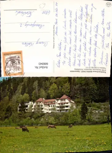 606943,Schruns Montafon Krankenhaus Maria Rast Gauenstein Rinder Kühe