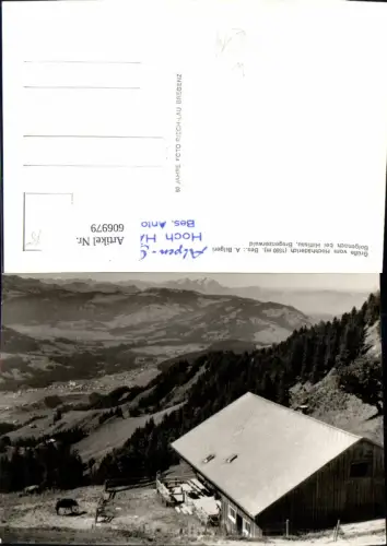 606979,Foto Ak Bolgenach b. Hittisau Hochhäderich Rind Kuh
