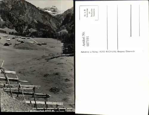 607191,Foto Ak Bad Hopfreben Schoppernau m. Mohnenfluh pub Risch-Lau 11567