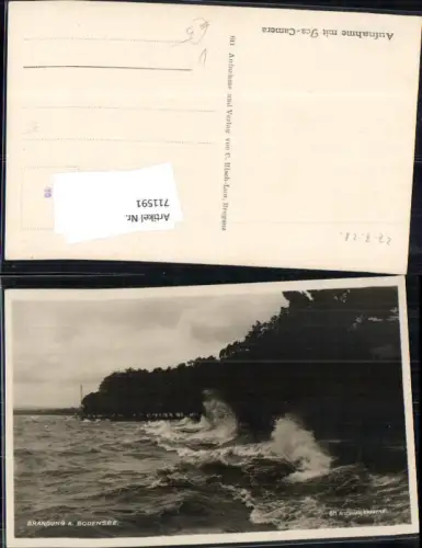 711591 Foto AK Brandung a. Bodensee Bregenz 1928 pub Risch-Lau 611