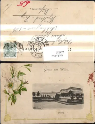 223920,Wien 1 Hofburg Passepartout Blumen Ranke