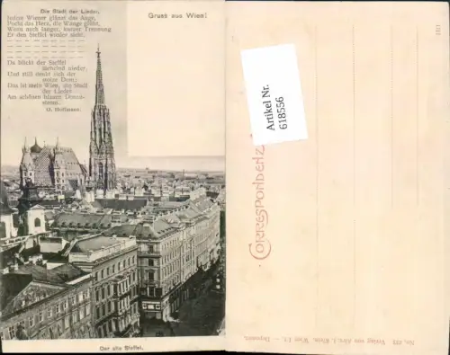 618556,Wien Innere Stadt Stephansdom