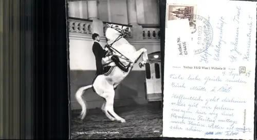 674416,Wien Spanische Hofreitschule Lipizzaner Pferde Pferd