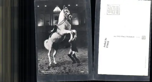 674418,Wien Spanische Hofreitschule Lipizzaner Pferde Pferd