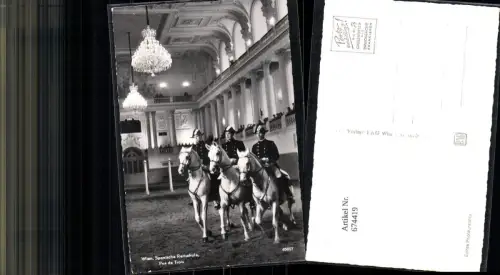 674419,Wien Spanische Hofreitschule Lipizzaner Pferde Pferd
