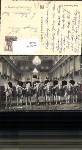 674420,Wien Spanische Hofreitschule Lipizzaner Pferde Pferd