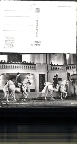 674421,Wien Spanische Hofreitschule Lipizzaner Pferde Pferd