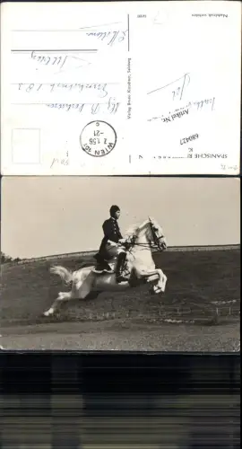 680427 Wien Pferd Lipizzaner Spanische Hofreitschule